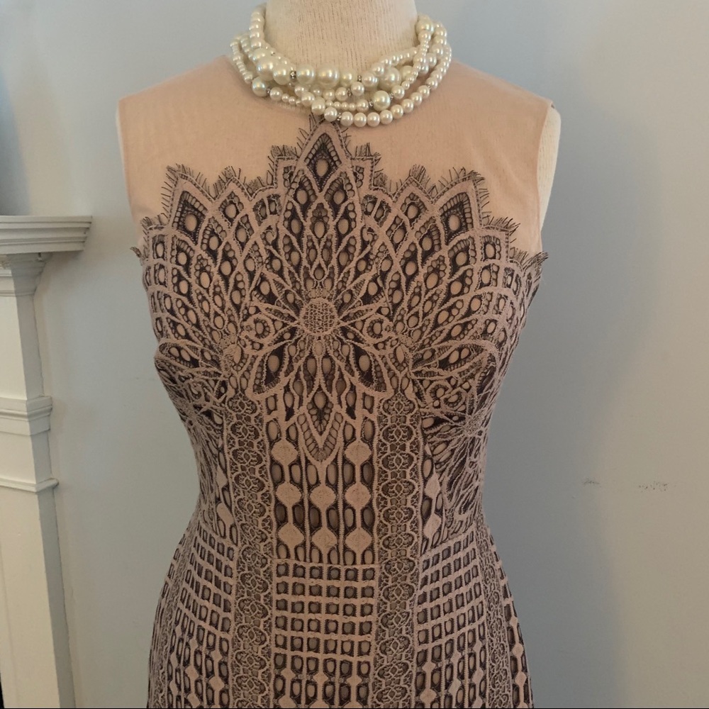 BCBG MaxAzria blush & black lace dress NEW nude - Picture 2 of 16